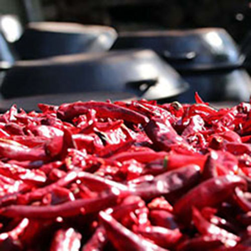 SQUARE 500 FREEkorepepperpot